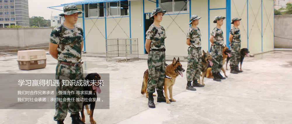 学习赢得机遇 知识成就未来